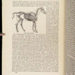 1868 Rural Life by Sherer | Agriculture Hunting Farming Illustrated Dogs & Horses 5v