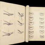 1868 Rural Life by Sherer | Agriculture Hunting Farming Illustrated Dogs & Horses 5v