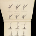 1868 Rural Life by Sherer | Agriculture Hunting Farming Illustrated Dogs & Horses 5v