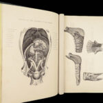 1868 Rural Life by Sherer | Agriculture Hunting Farming Illustrated Dogs & Horses 5v