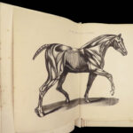 1868 Rural Life by Sherer | Agriculture Hunting Farming Illustrated Dogs & Horses 5v