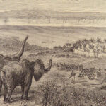 1875 David Livingstone 1st Last Journals Scottish African Exploration AFRICA