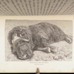 1886 1st ed Greely Explorations | Arctic Voyages Lady Franklin Bay Expedition Map 2v