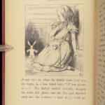 1872 Alice in Wonderland by Lewis Carroll | John Tenniel Illustrated ART