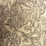 1551 Vulgate BIBLE | Biblia Sacra Jerome Commentary | Woodcuts & Fine Binding
