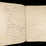 1861 ENORMOUS Human Anatomy Atlas NERVOUS System Nerves Elephant FOLIO Flower