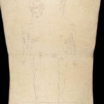 1861 ENORMOUS Human Anatomy Atlas NERVOUS System Nerves Elephant FOLIO Flower