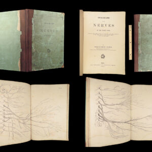 1861 ENORMOUS Human Anatomy Atlas NERVOUS System Nerves Elephant FOLIO Flower