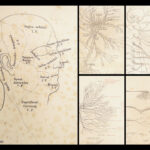 1861 ENORMOUS Human Anatomy Atlas NERVOUS System Nerves Elephant FOLIO Flower