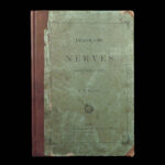 1861 ENORMOUS Human Anatomy Atlas NERVOUS System Nerves Elephant FOLIO Flower