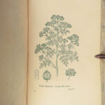 1862 Domestic Physician by John Gunn | Medicine for Poor Herbal Homeopathy