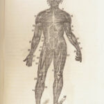 1862 Domestic Physician by John Gunn | Medicine for Poor Herbal Homeopathy