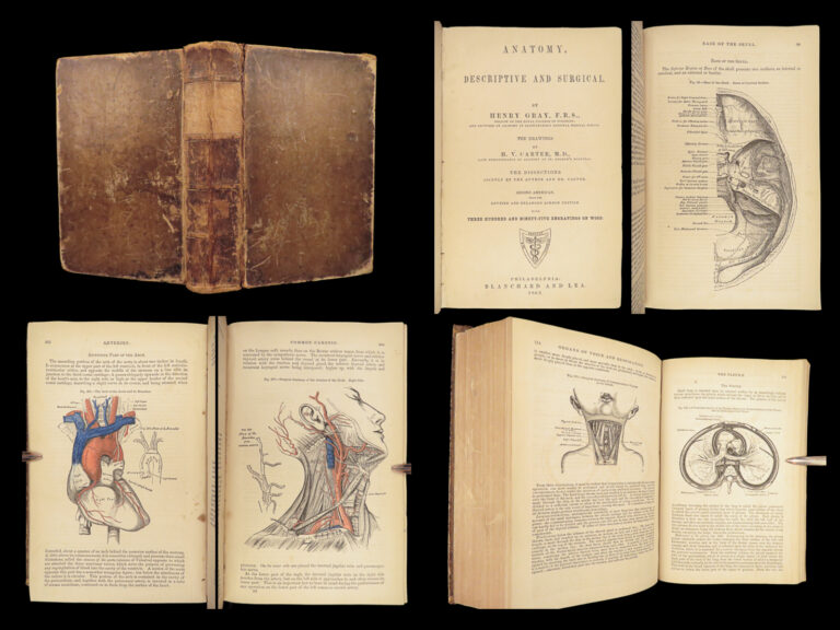Image of 1862 Henry Gray’s Anatomy | USA Hospital Dept CIVIL WAR Issue 2nd American ed