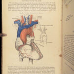 1862 Henry Gray’s Anatomy | USA Hospital Dept CIVIL WAR Issue 2nd American ed