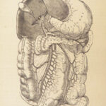 1862 Henry Gray’s Anatomy | USA Hospital Dept CIVIL WAR Issue 2nd American ed