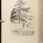 1928 House at Pooh Corner by A.A. Milne | 1st printing  Winnie the Pooh | Shepard