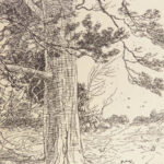 1928 House at Pooh Corner by A.A. Milne | 1st printing  Winnie the Pooh | Shepard