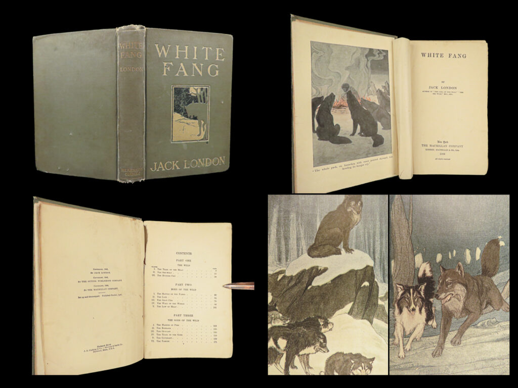 1906 white fang by jack london 1st edition | illustrated native american indians |   ‘<em>white fang</em>’ is an early 20<sup>th</sup>-centurty american novel by jack london. This adventure story tells the tale of a sled dog and his pack through the yukon territory during the 1890s gold rush. It was an extremely popular book, much in part to london’s previous best-seller ‘<em>call of the wild’</em>. ‘<em>white fang’</em> includes themes of dog fighting, animal violence, and native american cultures.   this 1906 first edition includes 8 color plates by charles livingston bull. <em> </em> item number: #28468 price: $599