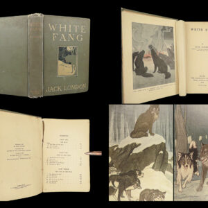 1906 White Fang by Jack London 1st edition | Illustrated Native American Indians