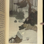 1906 White Fang by Jack London 1st edition | Illustrated Native American Indians