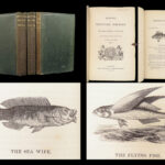 1836 FISHING 1st ed British Fish by Yarrell | Illustrated w/ 400 Woodcuts 2v SET