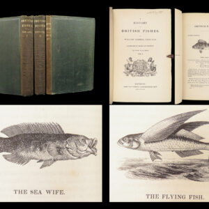 1836 FISHING 1st ed British Fish by Yarrell | Illustrated w/ 400 Woodcuts 2v SET