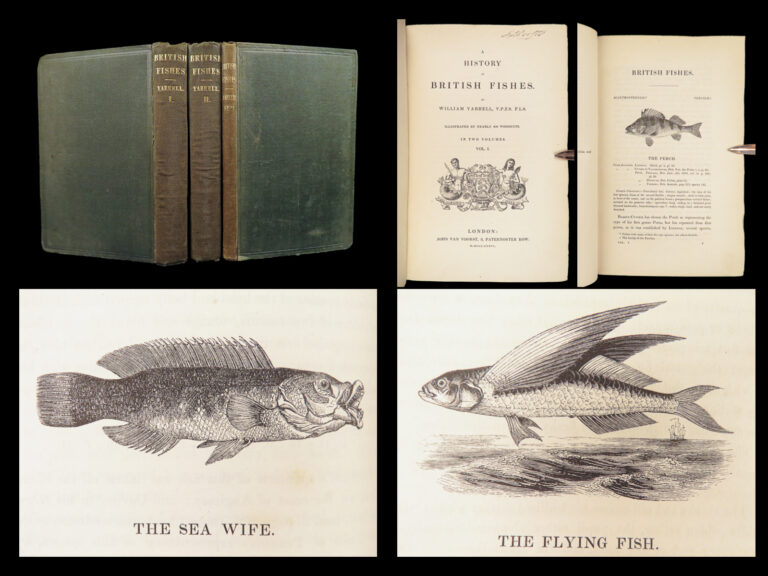 Image of 1836 FISHING 1st ed British Fish by Yarrell | Illustrated w/ 400 Woodcuts 2v SET