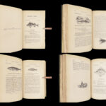 1836 FISHING 1st ed British Fish by Yarrell | Illustrated w/ 400 Woodcuts 2v SET