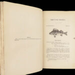 1836 FISHING 1st ed British Fish by Yarrell | Illustrated w/ 400 Woodcuts 2v SET