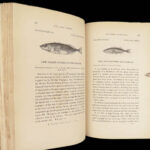 1836 FISHING 1st ed British Fish by Yarrell | Illustrated w/ 400 Woodcuts 2v SET
