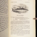 1836 FISHING 1st ed British Fish by Yarrell | Illustrated w/ 400 Woodcuts 2v SET