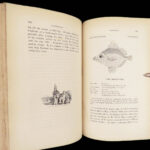 1836 FISHING 1st ed British Fish by Yarrell | Illustrated w/ 400 Woodcuts 2v SET