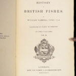 1836 FISHING 1st ed British Fish by Yarrell | Illustrated w/ 400 Woodcuts 2v SET