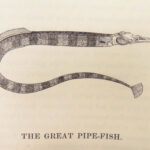1836 FISHING 1st ed British Fish by Yarrell | Illustrated w/ 400 Woodcuts 2v SET