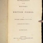 1836 FISHING 1st ed British Fish by Yarrell | Illustrated w/ 400 Woodcuts 2v SET