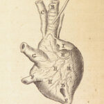 1682 SURGERY 1st ed Observations of Janszoon Meekeren | Dutch Medicine Plates