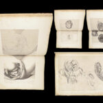 1851 Anatomy of Gravid Obstetrics OBGYN Medicine Atlas ENORMOUS FOLIO Hunter