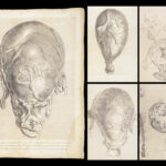 1851 Anatomy of Gravid Obstetrics OBGYN Medicine Atlas ENORMOUS FOLIO Hunter