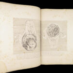 1851 Anatomy of Gravid Obstetrics OBGYN Medicine Atlas ENORMOUS FOLIO Hunter