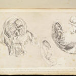 1851 Anatomy of Gravid Obstetrics OBGYN Medicine Atlas ENORMOUS FOLIO Hunter