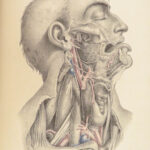 1851 Surgical ANATOMY 1st US ed by Maclise | Illustrated Surgery Medicine FOLIO