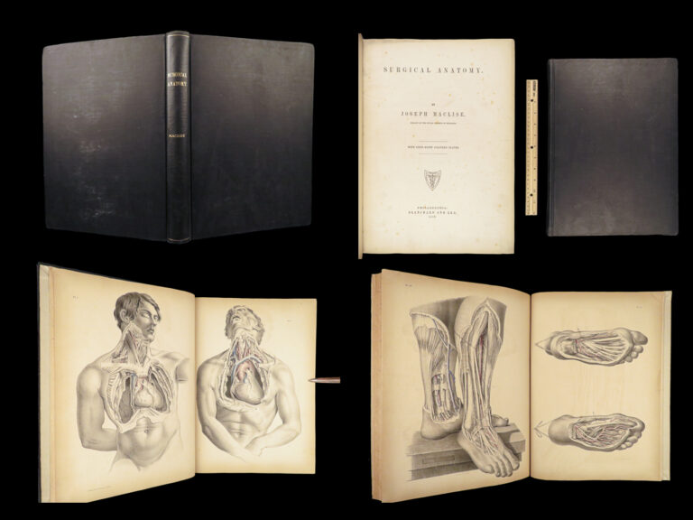 Image of 1851 Surgical ANATOMY 1st US ed by Maclise | Illustrated Surgery Medicine FOLIO