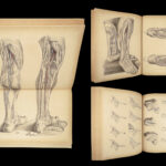 1851 Surgical ANATOMY 1st US ed by Maclise | Illustrated Surgery Medicine FOLIO