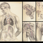 1851 Surgical ANATOMY 1st US ed by Maclise | Illustrated Surgery Medicine FOLIO