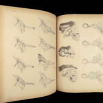 1851 Surgical ANATOMY 1st US ed by Maclise | Illustrated Surgery Medicine FOLIO