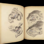 1851 Surgical ANATOMY 1st US ed by Maclise | Illustrated Surgery Medicine FOLIO