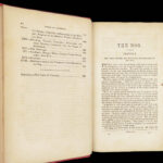 1856 DOG by Youatt | Illustrated Animals & Veterinary Medicine Canine Breeding