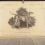 1856 DOG by Youatt | Illustrated Animals & Veterinary Medicine Canine Breeding