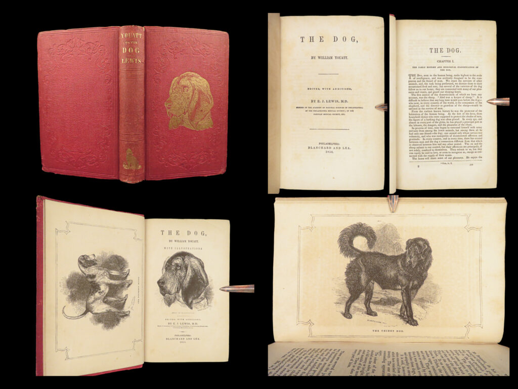 1856 dog by youatt | illustrated animals & veterinary medicine canine breeding | william youatt was a 19<sup>th</sup>-century author known for his treatises on farming and animal sciences. Perhaps his most famous and desirable book was ‘<em>the dog’</em> – a book on all aspects of ‘man’s best friend’. This book describes characteristics of dog breeds, breeding dogs, treating diseases and injuries, and much more. Note the impressive illustrations throughout.   item number: #28511 price: $399