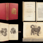 1856 DOG by Youatt | Illustrated Animals & Veterinary Medicine Canine Breeding